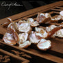 Jumbo Keshi Freshwater Pearls - OutOfAsia